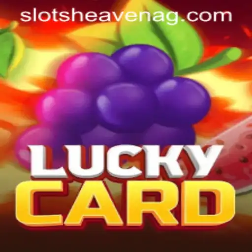 Discover the World of LuckyCard on Pagol.bet